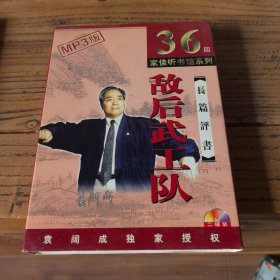 敌后武工队长篇评书（袁阔成）
