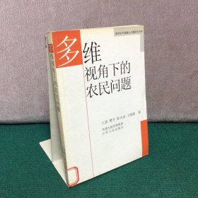 多维视角下的农民问题