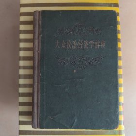 大众政治经济学辞典