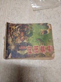 连环画：在密林中