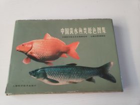 中国淡水鱼类原色图集
