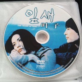 DVD 韩国电影 叶子