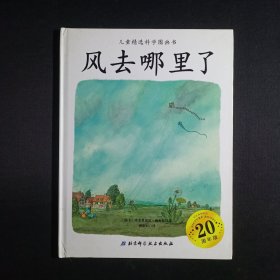 儿童精选科学图画书：风去哪里了