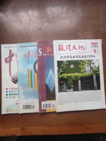 高中学习期刊4种：数理天地，数理化学习，中学生，中学生数学