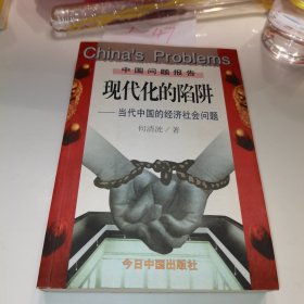 现代化的陷阱：当代中国的经济社会问题