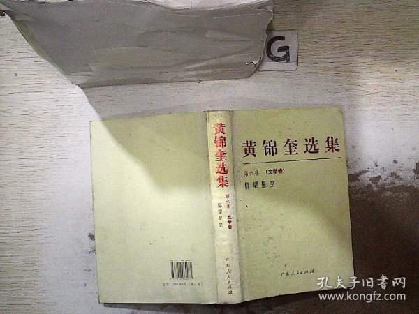黄锦奎选集（第六卷） 文学卷   平装