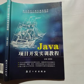 Java项目开发实训教程