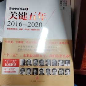 读懂中国改革4：关键五年2016--2020