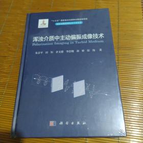 浑浊介质中主动偏振成像技术