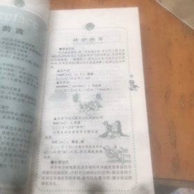 单词记忆魔咒（高中版）内页干净
