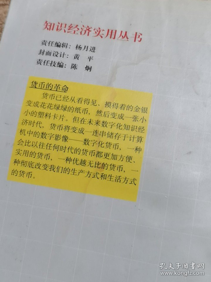 数字化货币——知识经济实用丛书