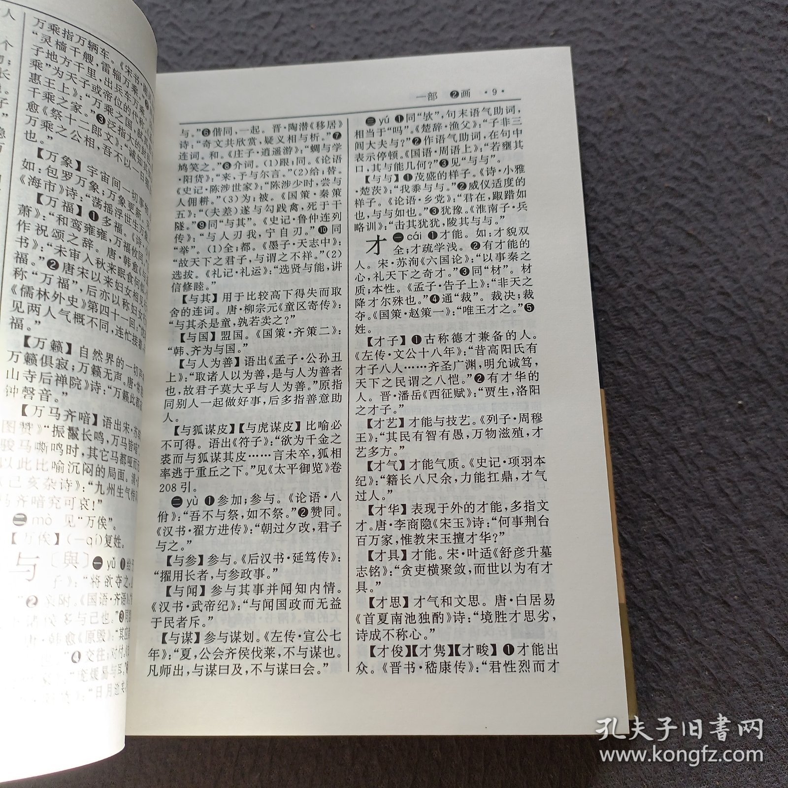 古代汉语词典