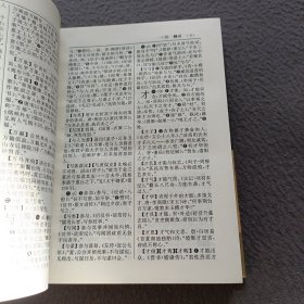 古代汉语词典