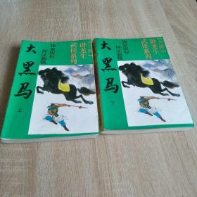 武侠小说：大黑马（上下）实为台湾冷门作家慕容菡的《冷剑痴魂》