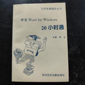 中文Word for Windows20小时通