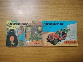 在黑金之国