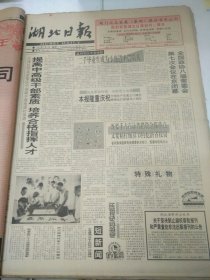 湖北日报1994年7月2日