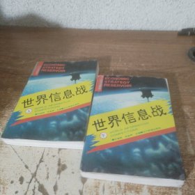 世界信息戰(zhàn) 上下