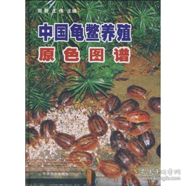 中国龟鳖养殖原色图谱 9787109127647