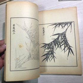 高松竹谱    1964年1版3印     私藏