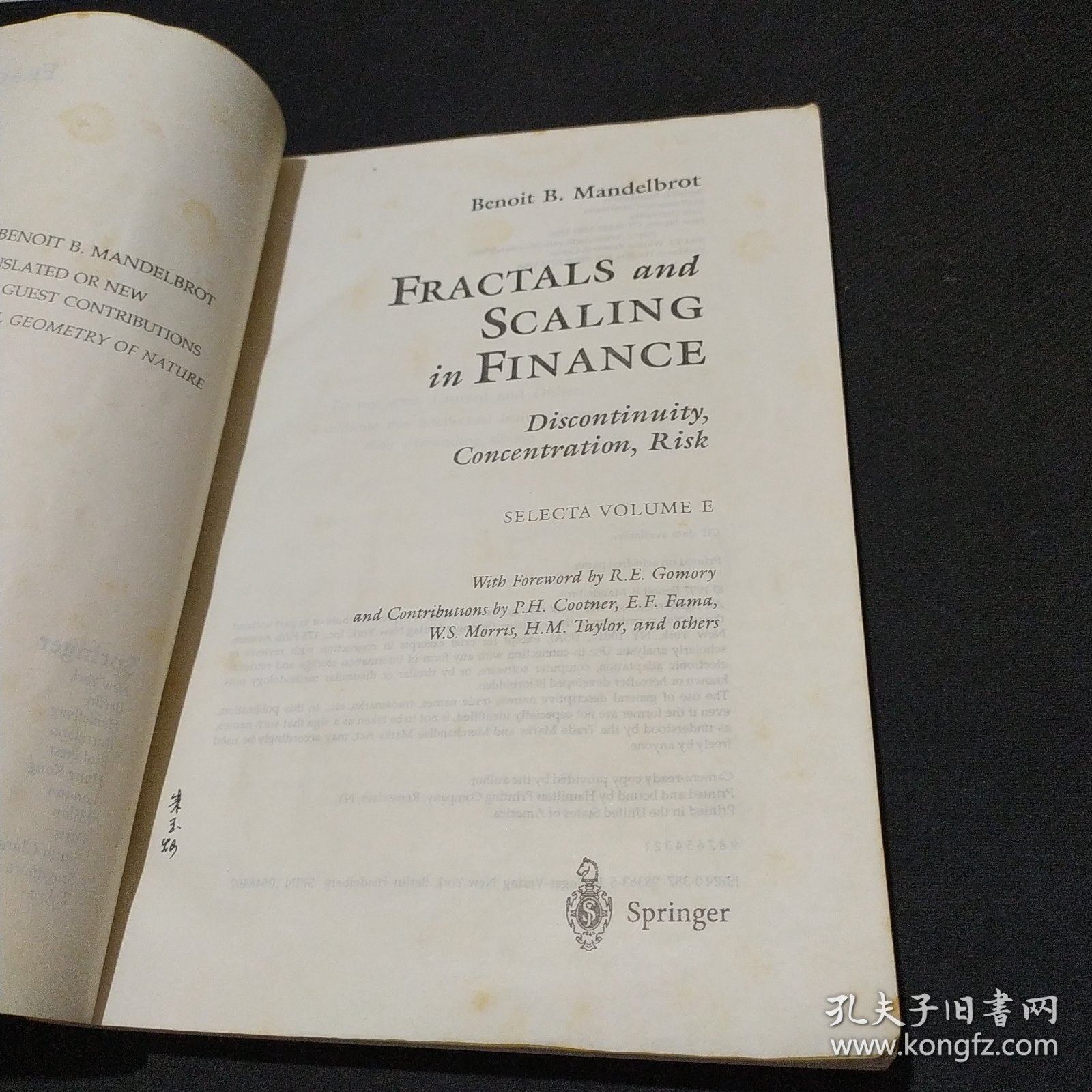 金融学中的分形与标度Fractals and scaling in finance
