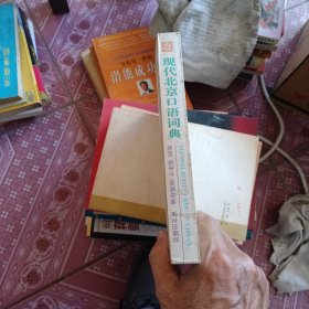 现代北京口语词典