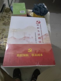 国家电网有限公司党支部标准化建设系列丛书(1一5册)全套