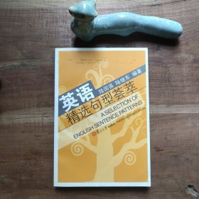 英语精选句型荟萃 全书折角