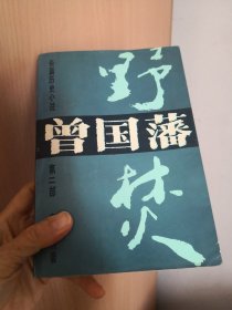 曾国藩·野焚:长篇历史小说