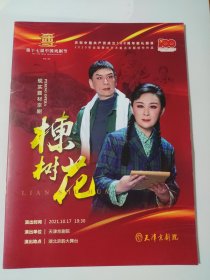 【京剧节目单】第十七届中国戏剧节《楝树花》现实题材京剧 天津京剧院
