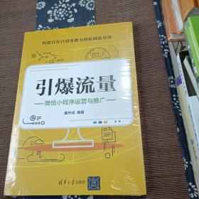 引爆流量：微信小程序运营与推广