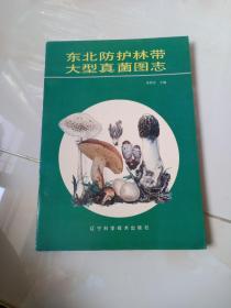 东北防护林带大型真菌图志