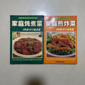 家庭四季美食丛书——家庭炖煮菜家庭煎炸菜