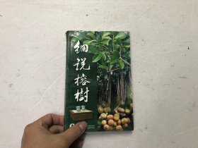 细说榕树