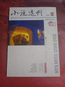 小说选刊 2010-12