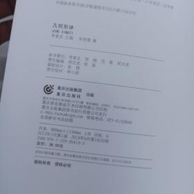 敲门砖素描风暴几何形体 宋艳慧基础教学基础知识石膏几何形体绘画入门教学 石膏几何形体素描技法明暗正方体 八棱柱 四棱锥 六棱锥 正十二面体正二十面体 四棱柱穿插体 切面圆柱体 球体 组合 单体 石膏体的画法 教学教材教程 步骤 零基础绘画业余专业通用 买到就是赚到