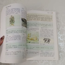 彩色图解 山海经