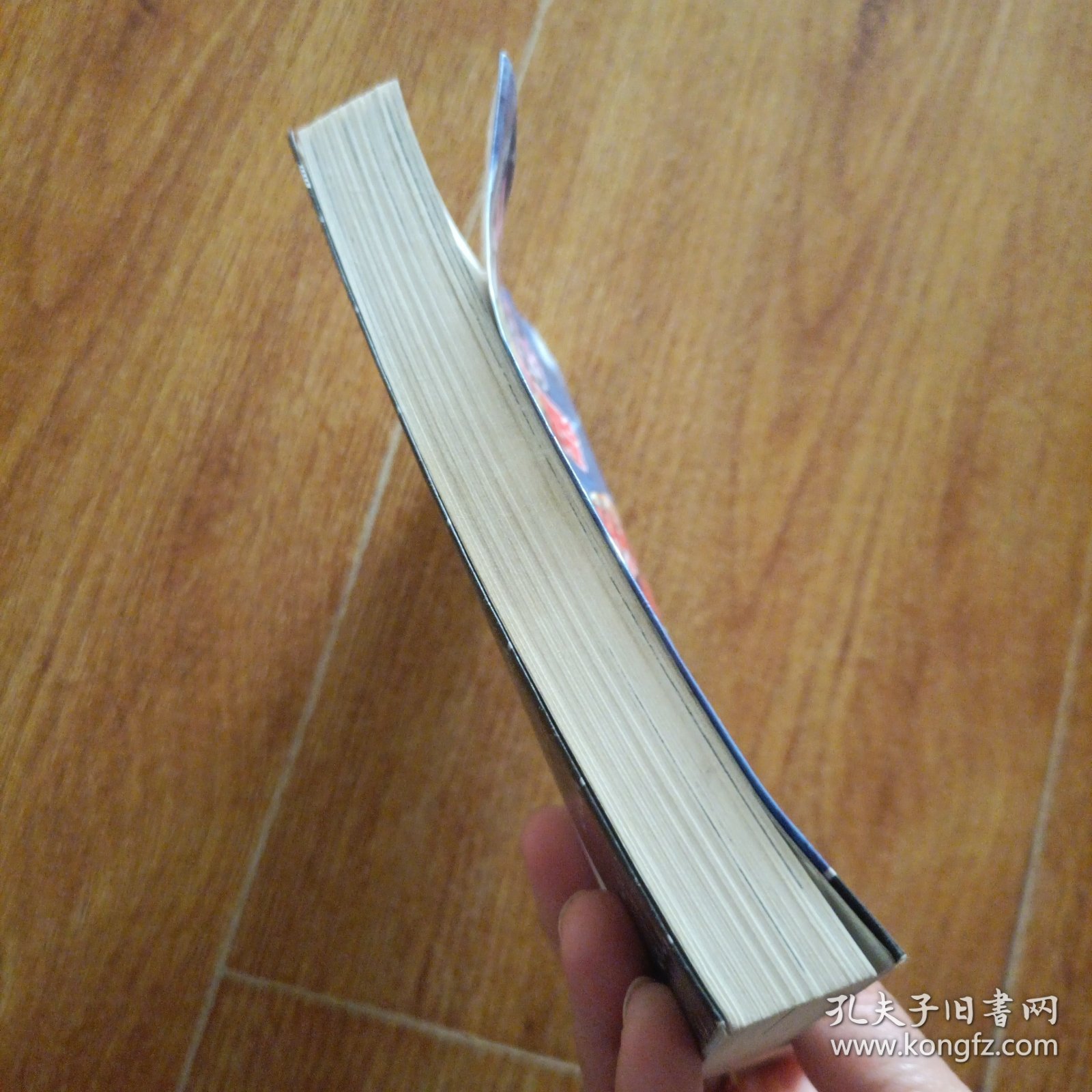乔乔的奇妙冒险 第二部˙战斗潮流（6）