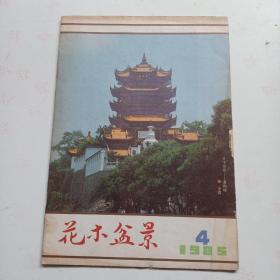 花木盆景  1985  4