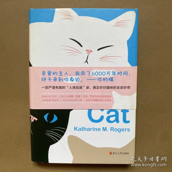 猫咪简史