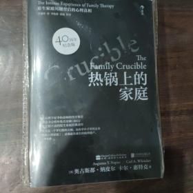 热锅上的家庭：家庭问题背后的心理真相