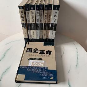 国企革命  维亚格走向国际康采恩 弗曼雷德波尔 冯光文 成思危 华夏出版社