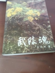 武陵魂
