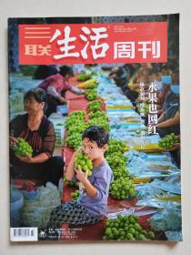 三联生活周刊 2022年第43期 总第1210期
