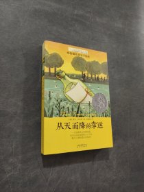 从天而降的幸运