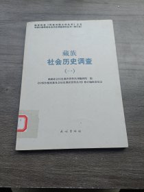 藏族社会历史调查（1）