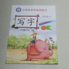 小学生写字规范练习