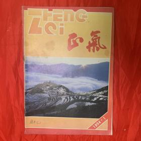 创刊号：正气（1994年第1期、有发刊词、品佳）