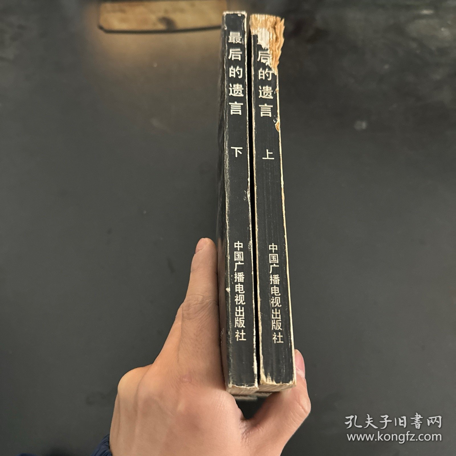最后的遗言一赫鲁晓夫回忆录续集（上下卷）