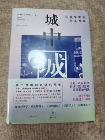 城中城：社会学家的街头发现